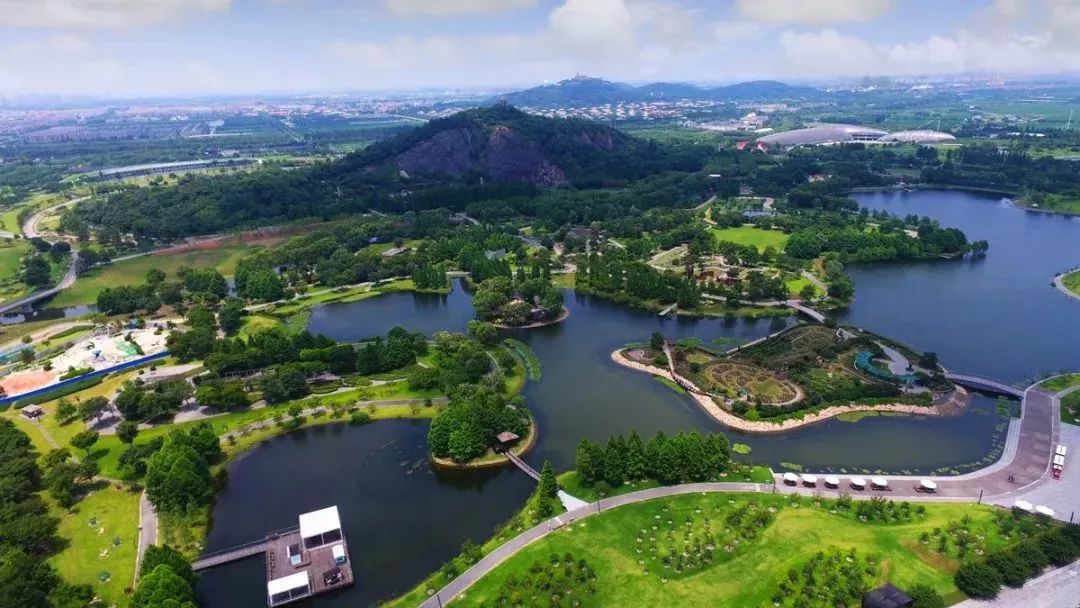 辰山植物园最近有什么活动,动植物园夏令营