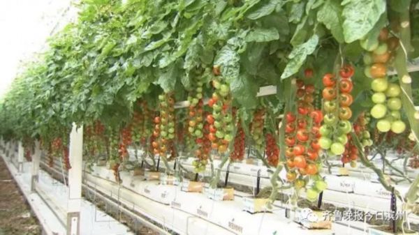 山东通报14批次不合格食品,山东曝光26批次不合格食品