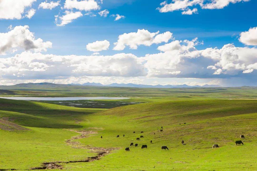 国家地理评选中国最美风景,国家地理评选中国最美100地