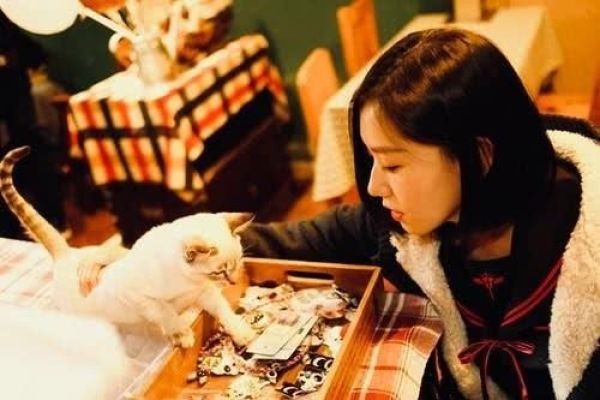 猫主子尿在床上了怎么办,猫咪对铲屎官的占有欲