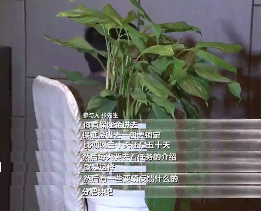 张小雷钱宝网案件最新进展,钱宝网案退赔比例