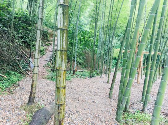 夏至已至酷暑难耐,夏至已到天气炎热