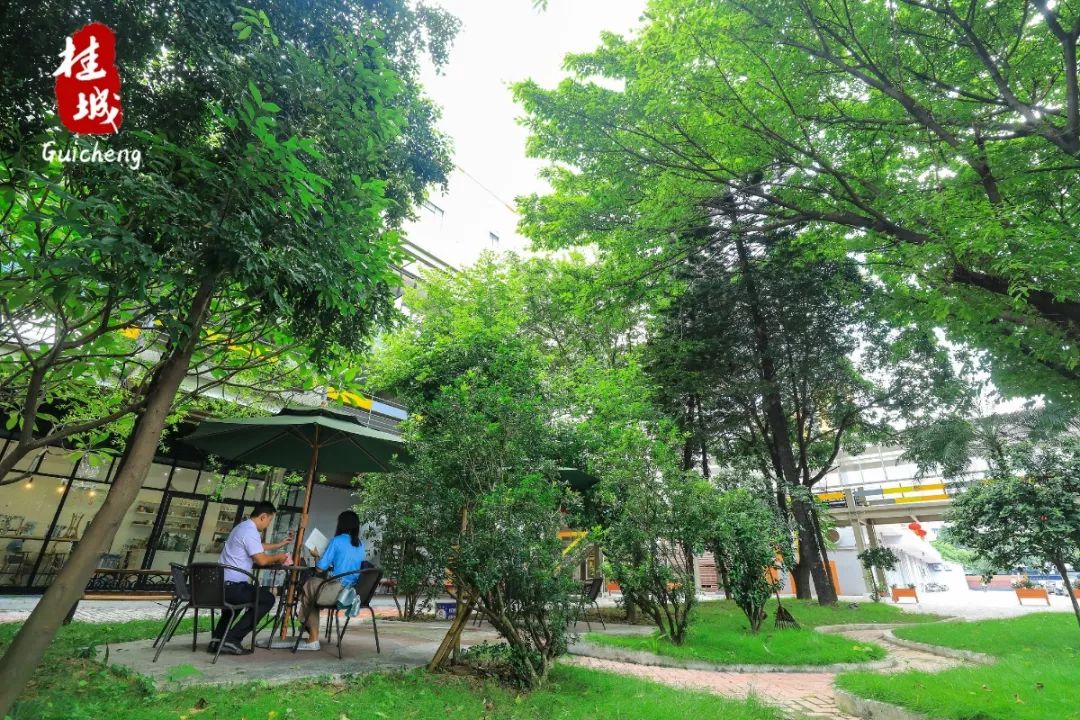 夏至到来大明湖荷花,夏至来了荷花又开放啦