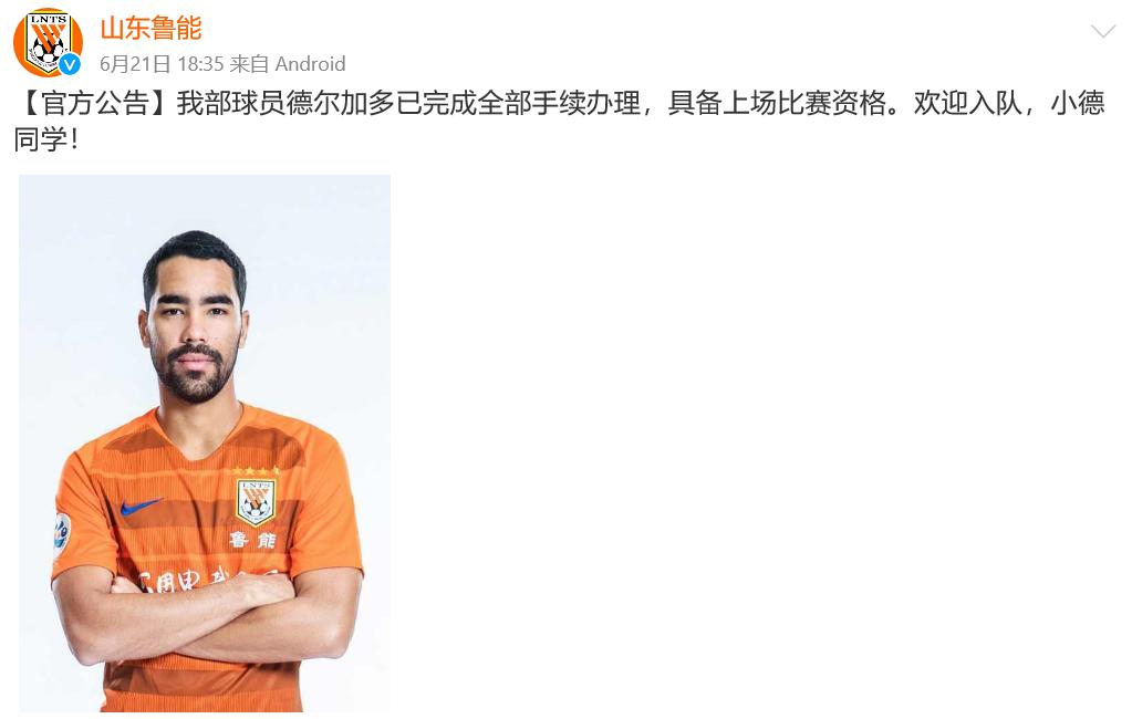 德尔加多来鲁能,德尔加多简介