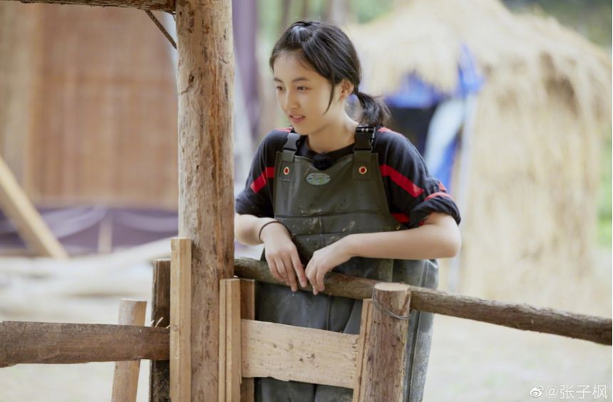 童星逆袭视频,童星有哪些成功转型