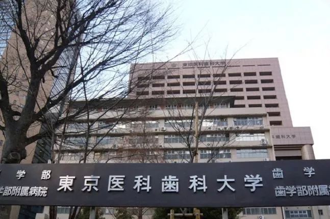 适合刷大牙的牙刷,好用不伤牙齿的电动牙刷推荐