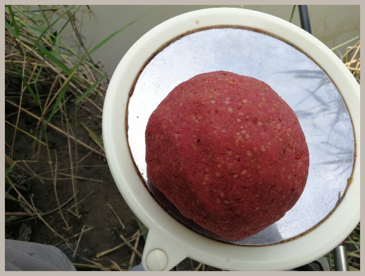 狂拉餐条,狂拉餐条鱼视频