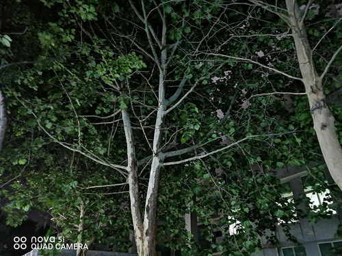 华为nova5i参数配置详情图片,nova5i与nova5ipro区别