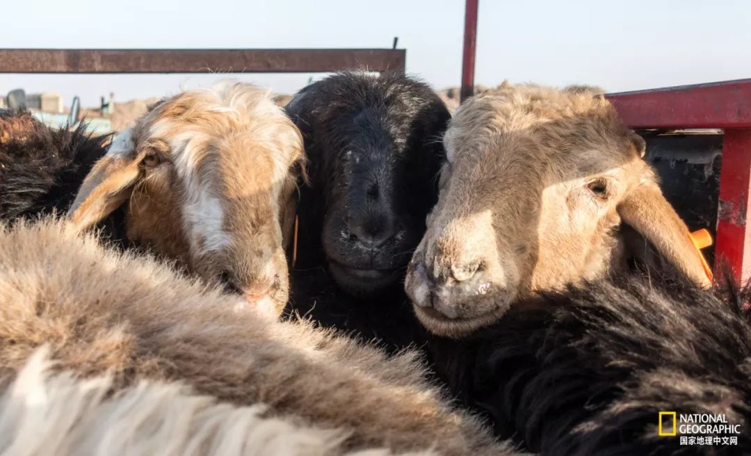 这10件事摄影新手一定要懂,对于热爱摄影的你来说最大的遗憾