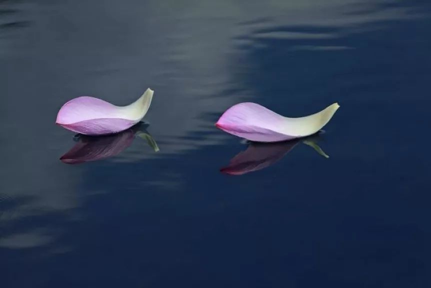 闯了特别大的祸咋办,闯了祸怎么安慰自己