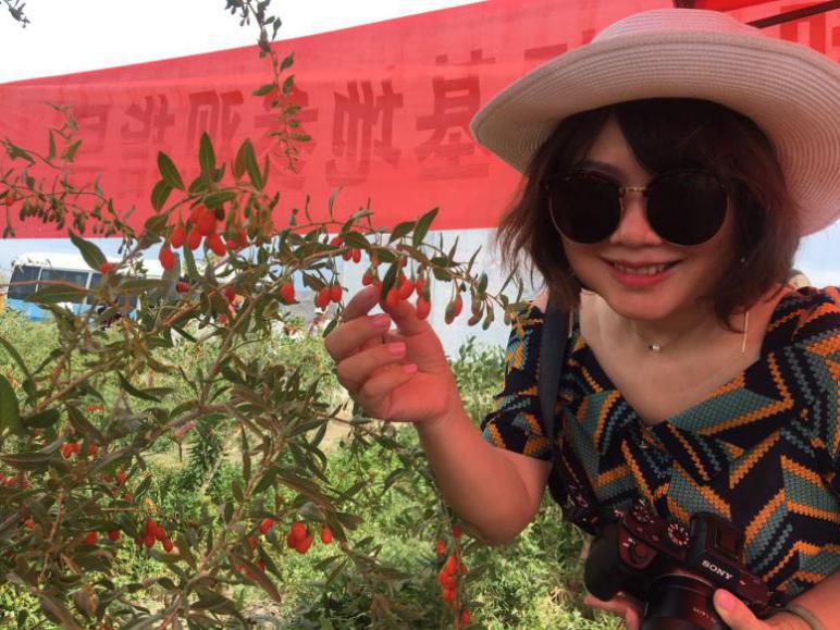 【*疆新**是个好地方·达人西游第6季】精河的美，你想象不到！