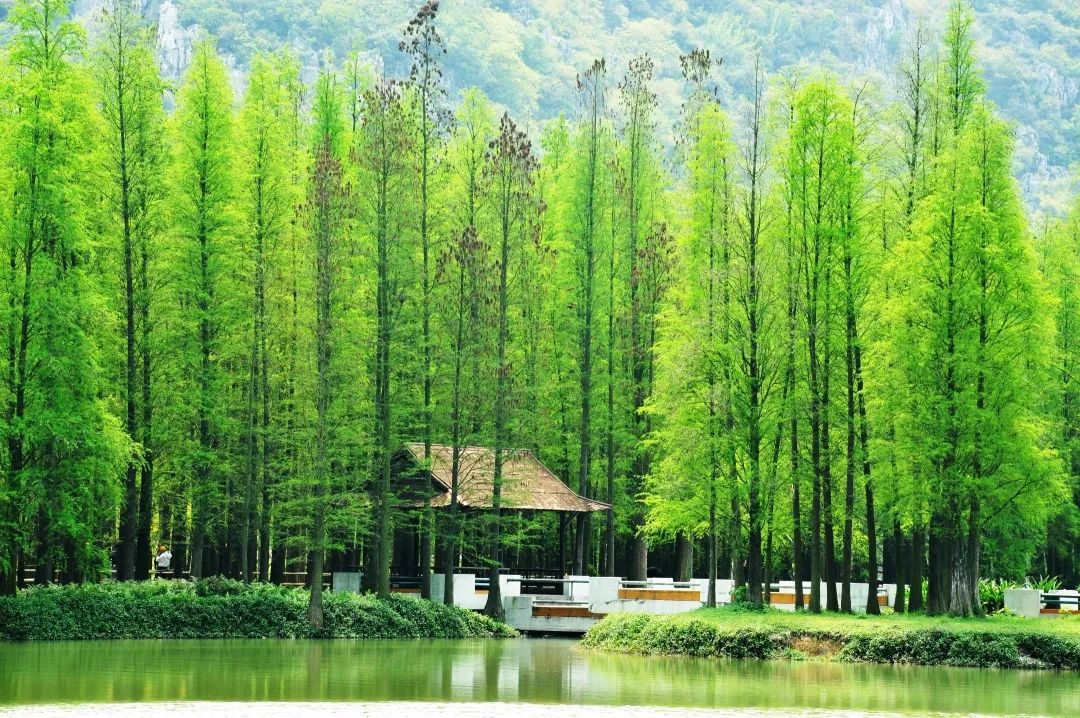 内外兼修的美才是真正的美,内外兼修的美丽