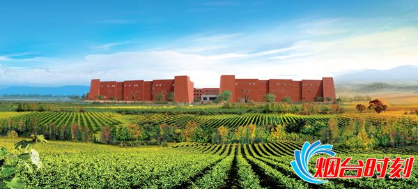 威龙有机葡萄酒优级,威龙葡萄酒高端