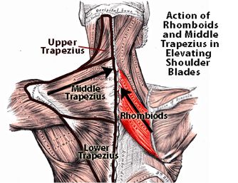 女明星和女明星同框颜值大对比,女明星红毯合照比美