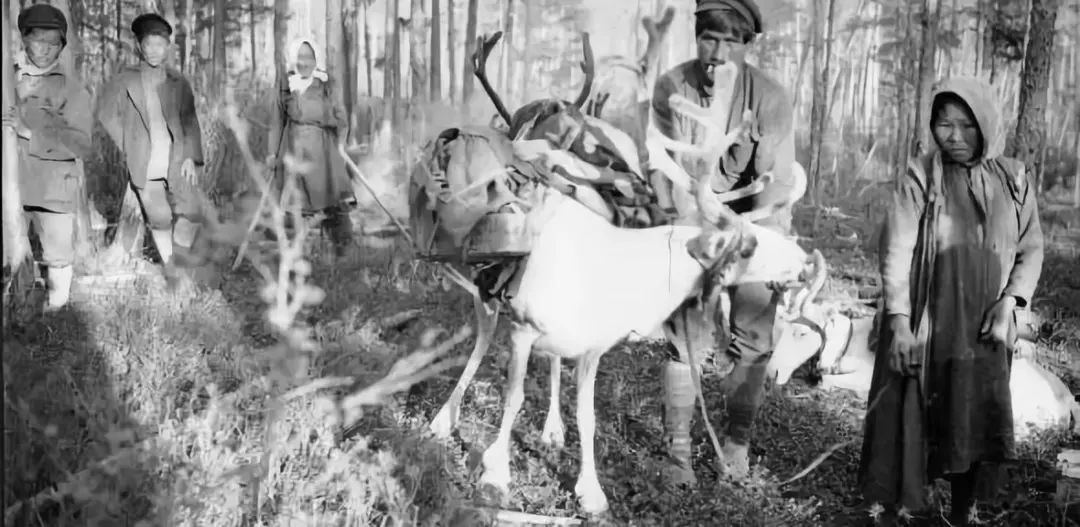 2.5浜垮勾鍚庣殑鍦扮悆鍙樺寲,涓滃寳鐏北鎬庝箞鍙樻垚绮粨