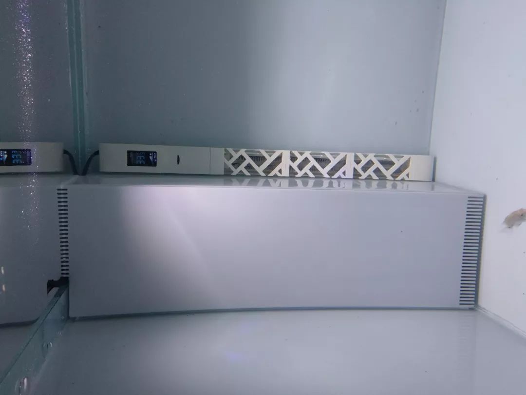 大神「鱼勇」DIY一缸多用“直播”教程，好缸无需再等