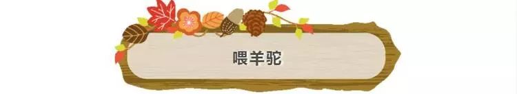 普通门票疯狂动物城,假期打卡疯狂动物城