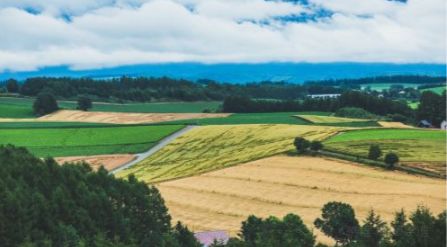 北海道特价团,北海道旅游团七日纯玩团