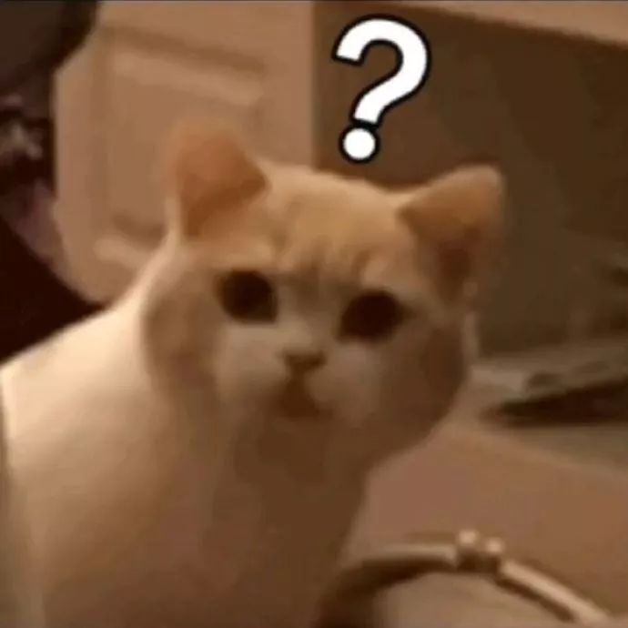 你跟对象做过哪些事,你对象做过让你最震惊的事情