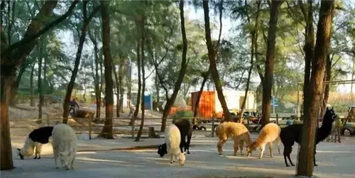 翡翠湾，洞见5G时代，智能地产链接美好人居生活