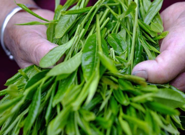 为自己制定一个健康食谱,保护心脏血管的食谱