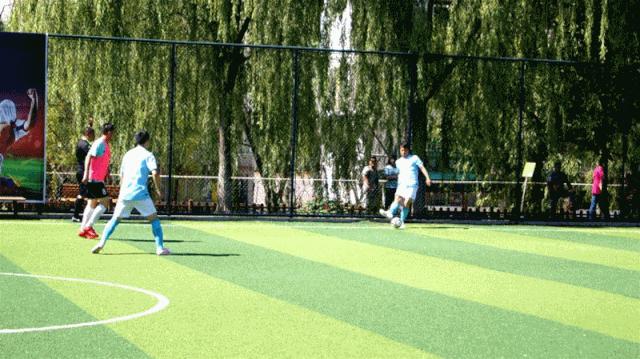 全市足球比赛开赛,上海法院足球比赛