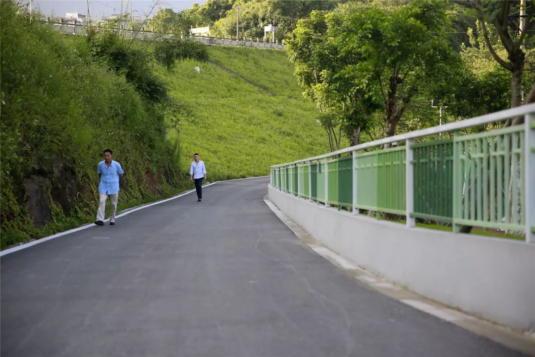 城南公园有什么游乐项目,城南公园有哪些好玩的项目