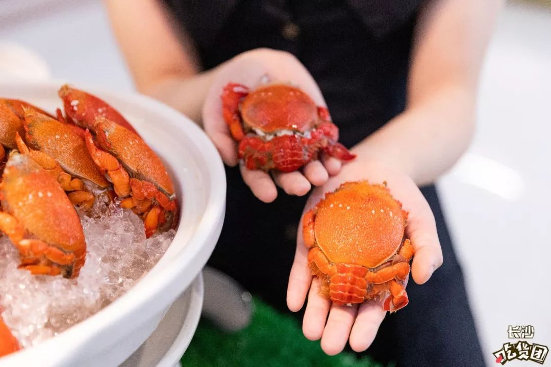 长沙自助海鲜最新鲜,长沙海鲜自助推荐必吃店