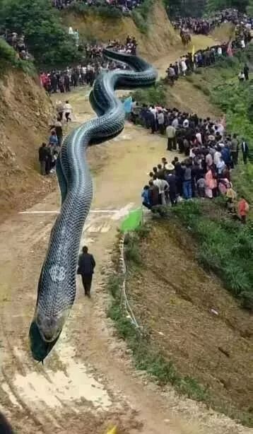 专家告诫不要相信的十大谣言,这10条流传甚广的谣言你信过几条