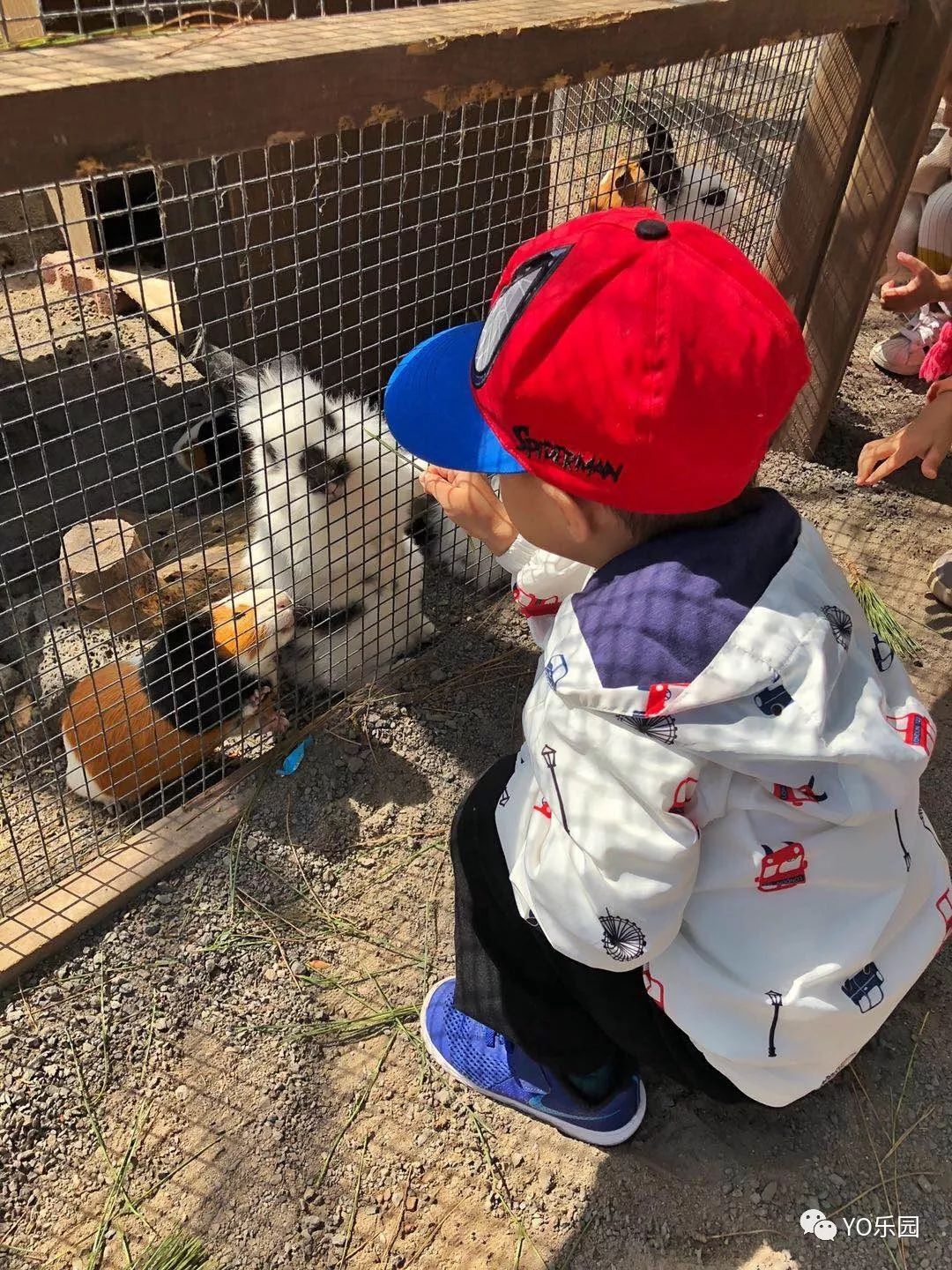 住帐篷一起看星星,住蒙古包看星星的地方