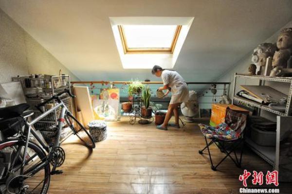 野球场玫瑰,野球场