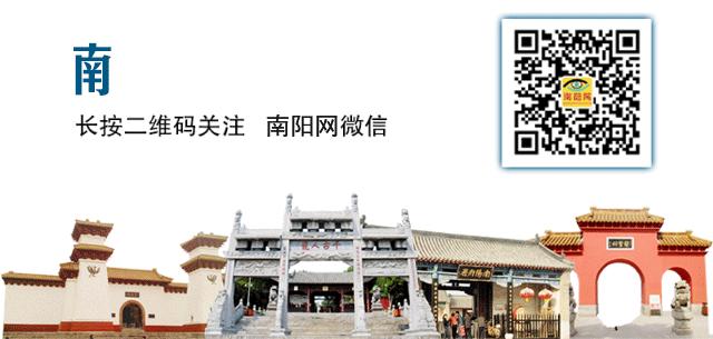 南阳幼儿园最新消息,南阳市政府幼儿园有几个