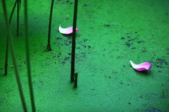 梦不回,梦不回歌词