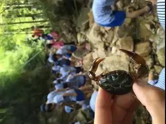 来西双版纳，做大自然的学生|雅居乐·西双林语夏令营开始报名啦