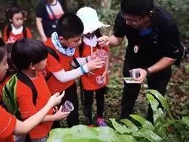 来西双版纳，做大自然的学生|雅居乐·西双林语夏令营开始报名啦