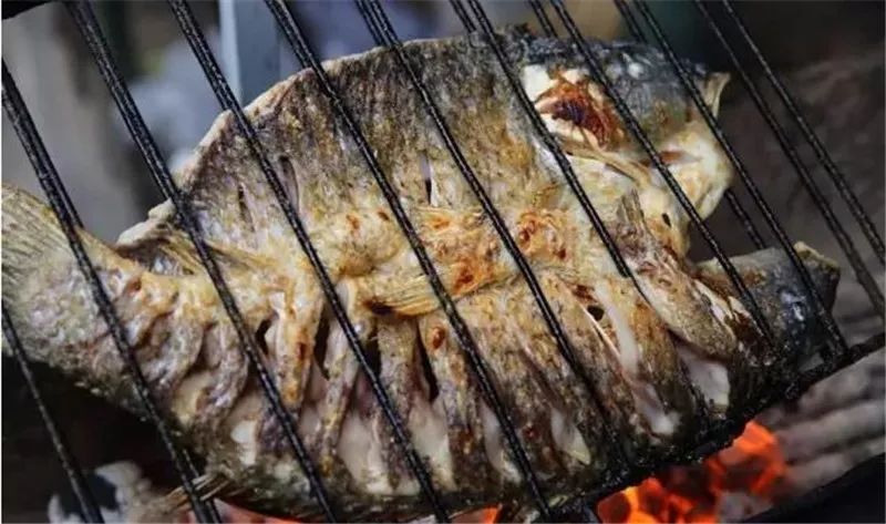 石泉|“鱼”生请多指教