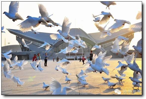 沧州体育馆健身房,沧州免费健身房