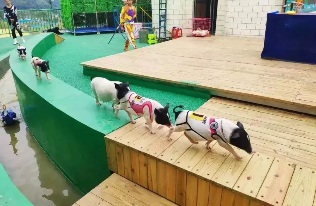 暑假旅行安排好了吗？闽清这些地方省心、好玩又不累，赶快收藏！