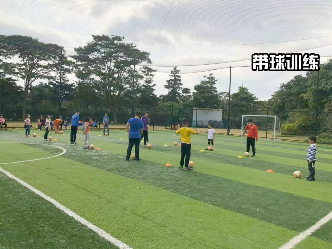 探寻国足阵容的辉煌历程,揭秘国足新主场