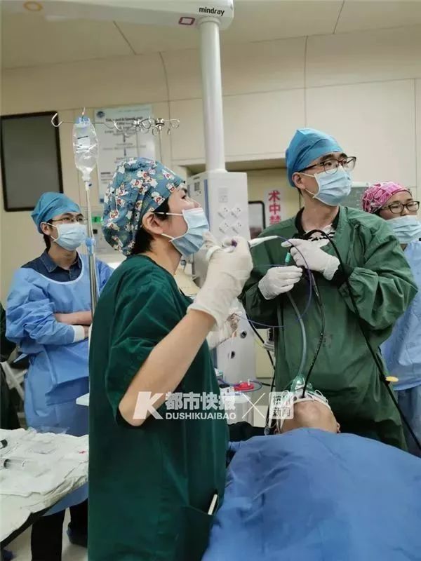 造成虾生病的原因,为什么虾会突然发病