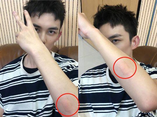 夏天驱蚊必备好物良心推荐,给大家推荐一款驱蚊神器驱蚊草