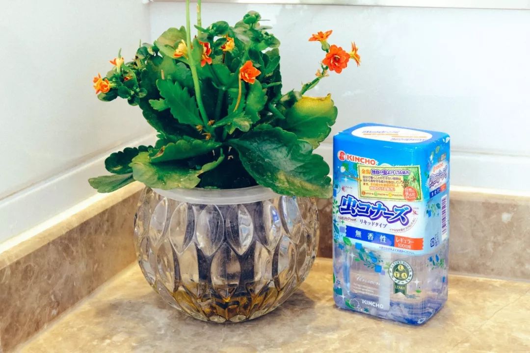 植物驱蚊精华,温和驱蚊天然植物配方