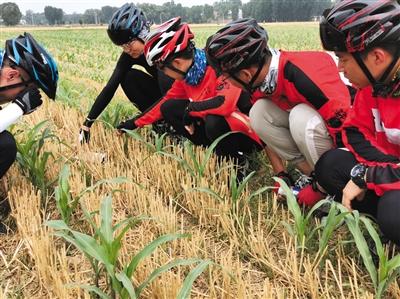 高考后老师带11名学生骑行1800多公里校长忧心忡忡