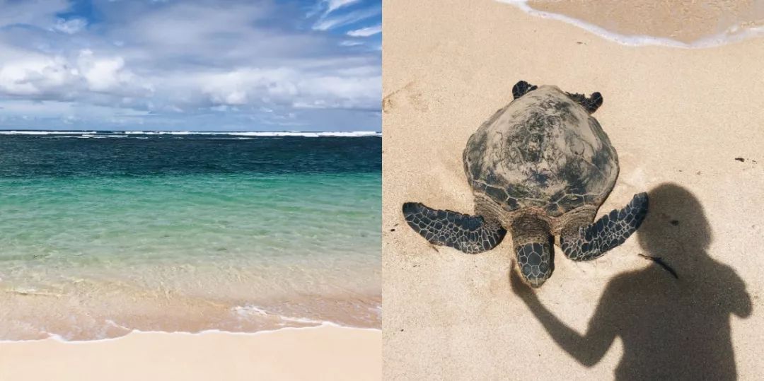 夏威夷旅游攻略阿罗哈,夏威夷maui岛旅游攻略