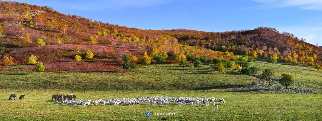 岳额日敦木图:这是美丽家乡科右中旗