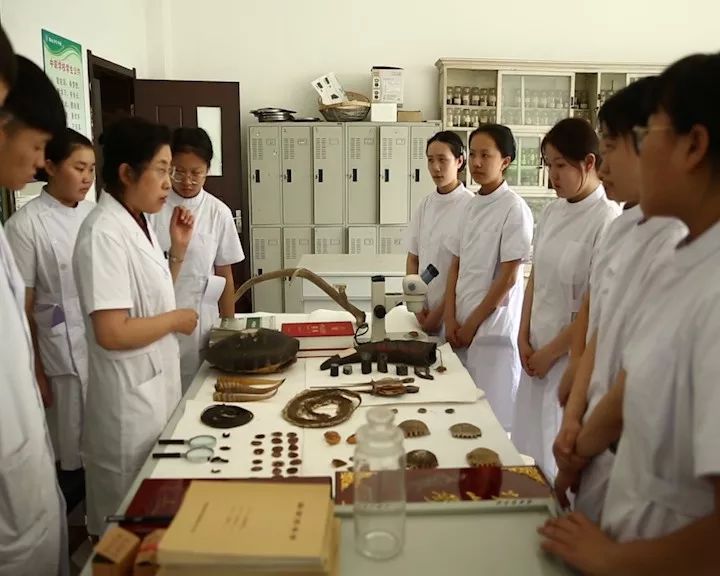 鞍山市的贵族学校,鞍山正规的学校