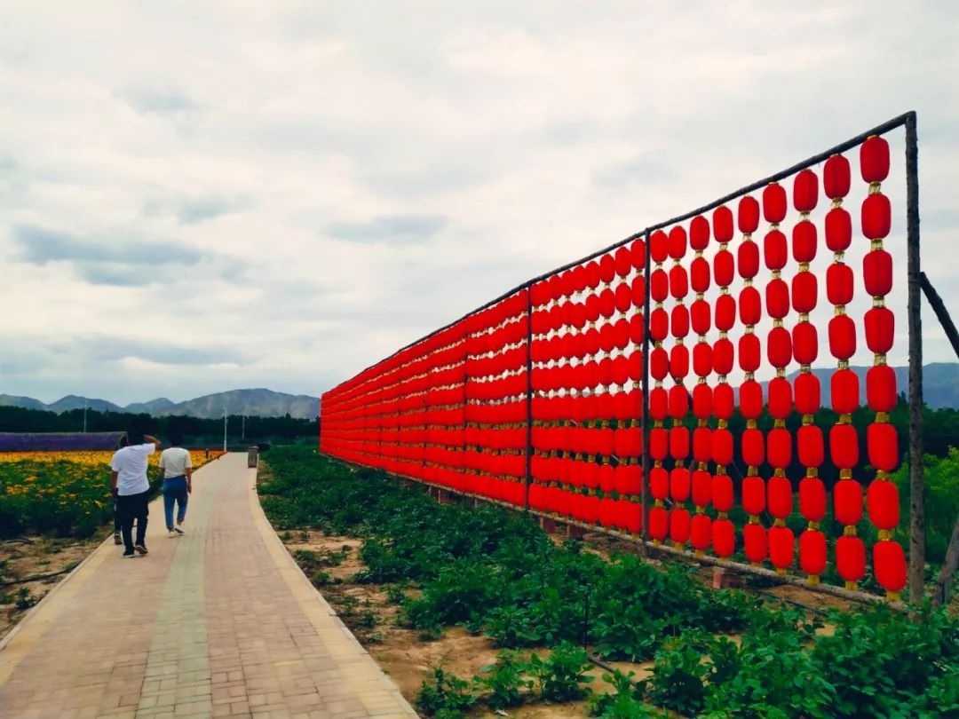 白银市区到大坪花海,去大坪玩攻略