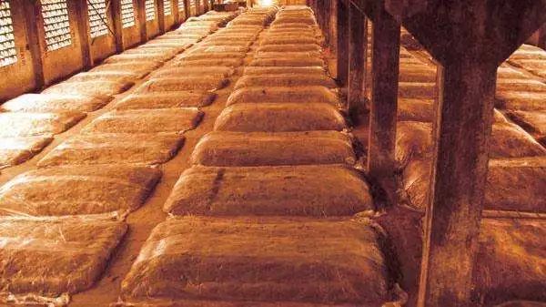 挑战全网老司机完整版视频,挑战老司机