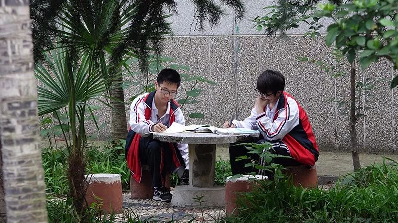 喜讯传来，这所学校厉害了！四中五中录取率名列全市前茅