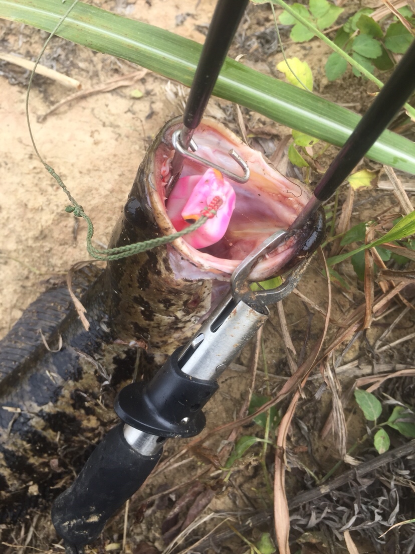 雷强2020年视频,2019雷强视频